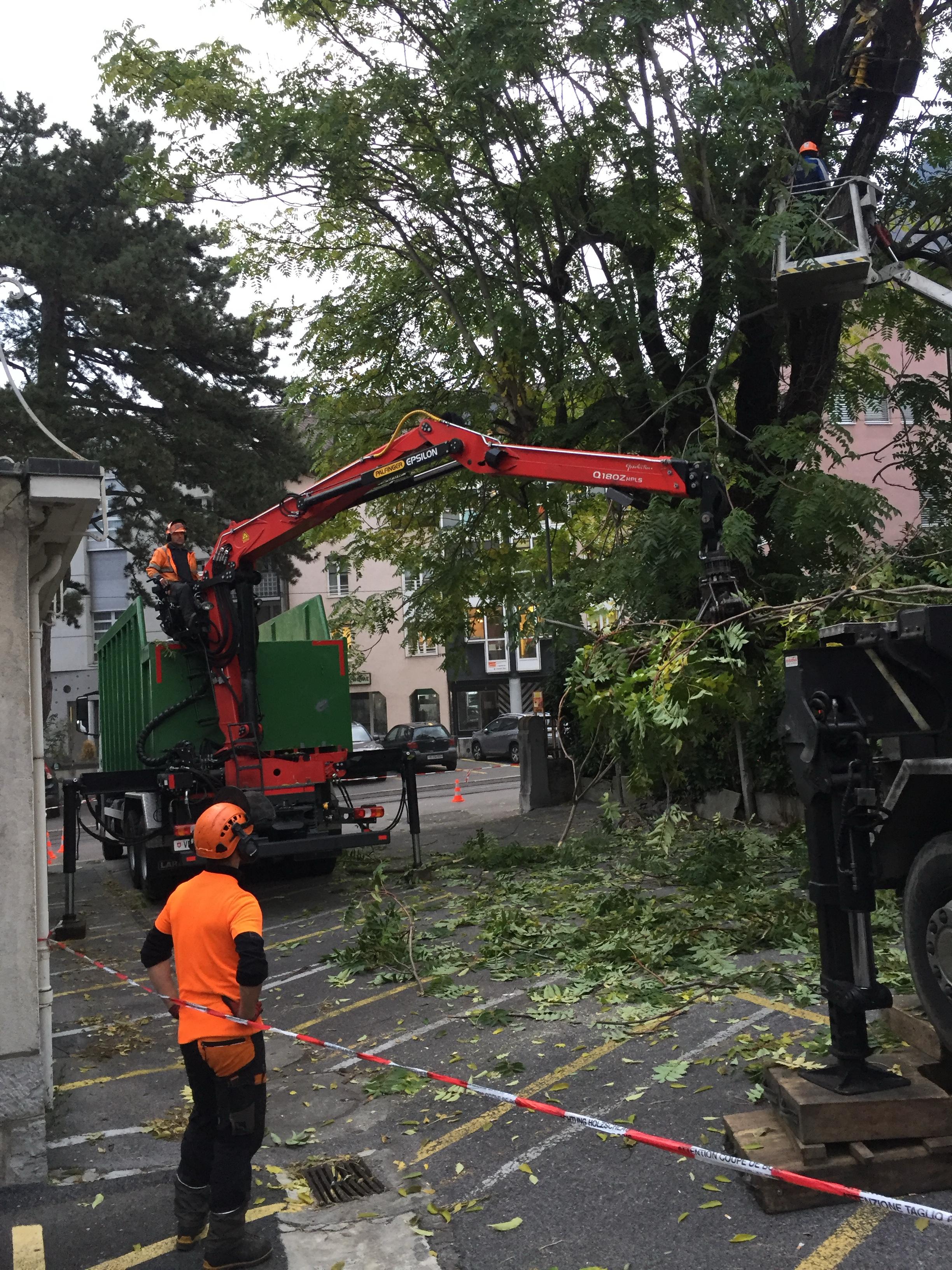 Évacuation de déchets verts par camion grue dans le Jura — SAS POLYVIER